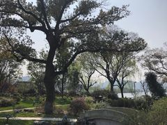 -杭州西湖柳莺里酒店