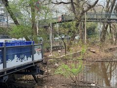 -丽泽山庄·生态怀柔菜·虹鳟鱼(红螺寺店)