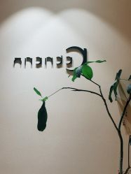 -阿南达·瑜伽普拉提·阿育吠陀疗愈中心