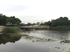 -新江湾城公园