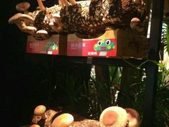 -大头椰·椰子鸡火锅(南宁万象城店)