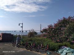 -芒洲湿地公园