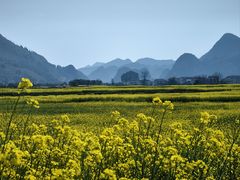 -万峰林风景区