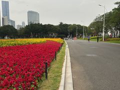 -海心沙亚运公园