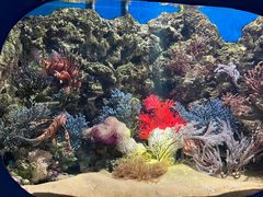 -欢乐海岸海洋奇梦馆