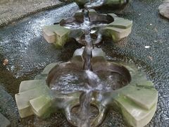 -成都市活水公园