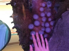 -西雅图水族馆