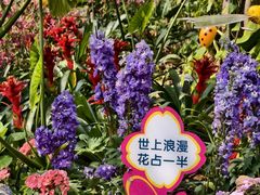 -南宁南湖公园