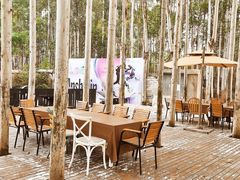 -桉树林A coffee 森林餐厅(三圣乡店)
