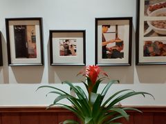 -九龙餐厅(大沽路店)