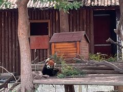 -常州淹城野生动物世界