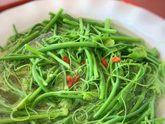 佛手瓜苗-金海大酒店·雅地西餐厅