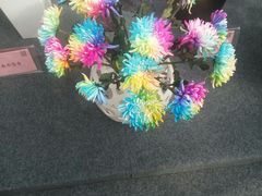 -南通洲际绿博园