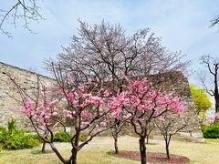 -北京明城墙遗址公园