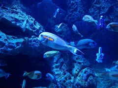 -成都浩海立方海洋公园