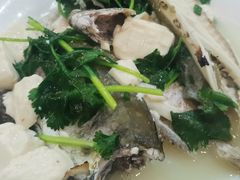 泥猛豆腐芫茜汤-晶莹品鲜.顺德鱼生.特色桑拿菜