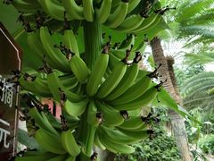 -祥源·阜阳生态乐园