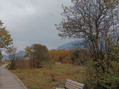 -大九湖