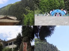 -瓦屋山景区