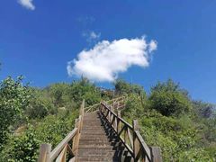 -大岭沟猕猴桃谷风景区