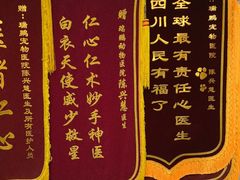 -瑞鹏宠物医院·眼科·皮肤·中兽医(大悦城分院)