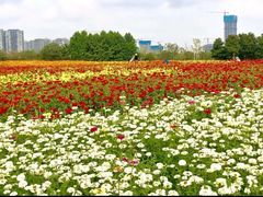 -重庆中央公园(渝北区)