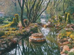 -上海共青森林公园