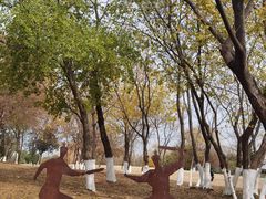 -盘龙城国家考古遗址公园