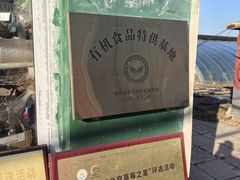 -大自然农场蔬菜草莓采摘园