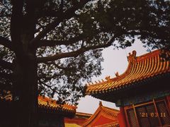 -故宫博物院(故宫)