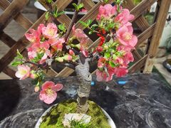 -双季花艺园艺市场(浦东店)