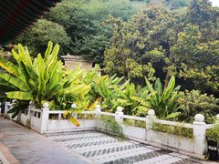 -临江·阅炉