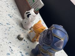 -半岛宠物医院24小时(白果林店)