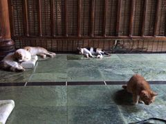 -龙达温泉生态城