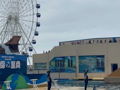 -秦皇岛乐岛海洋王国