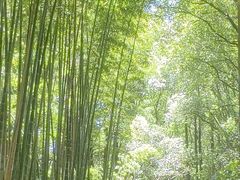 -同里国家湿地公园