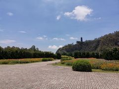 -南沙蒲洲花园