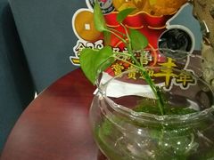 -招商银行(沈阳北陵支行)