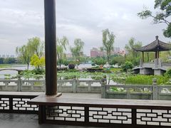 -武汉园博园(武汉自然博物馆)