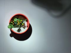 -海约淮扬老菜馆(团结南路店)