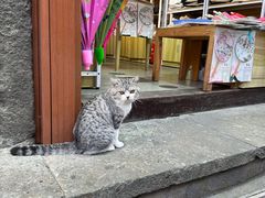 -咬不得高祖生煎·简餐(高银街店)