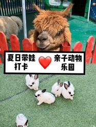 -萌宠亲子动物乐园(槐房万达店)