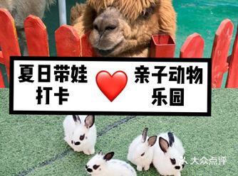 夏日带娃打卡亲子动物乐园