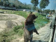 -西安秦岭野生动物园