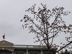 -花都广场
