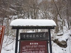 -青峰峡国家森林公园