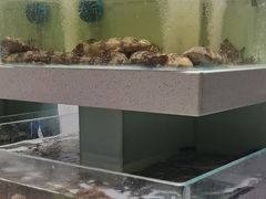 -至尊鲨鱼·原烹海鲜·新浙菜(拱宸桥店)