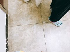 -美联众合动物医院·24h转诊中心