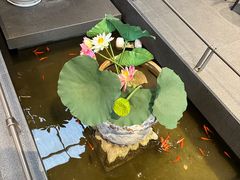 -单家老院·院子里的青岛菜(沙子口店)