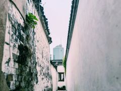 -青果巷历史文化街区